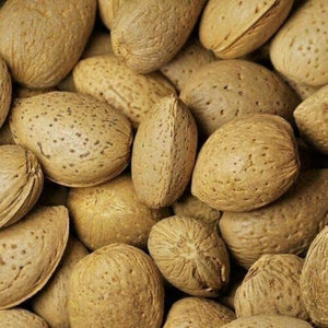 Badam (Prunus amygdalus)